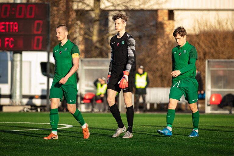 Alvis Sorokins. "Metta"