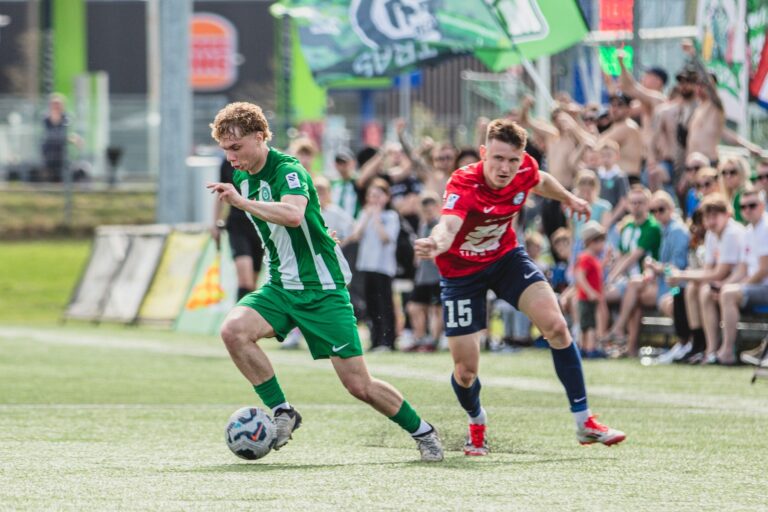 Emīls Evelons. "Metta"